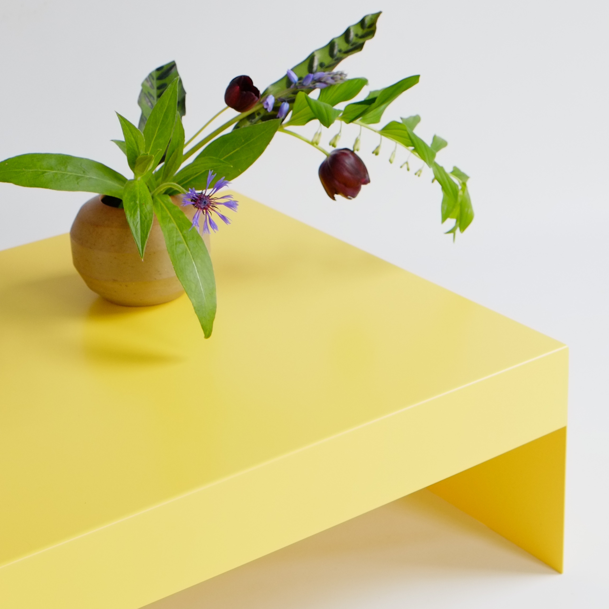 Single Form Coffee Table